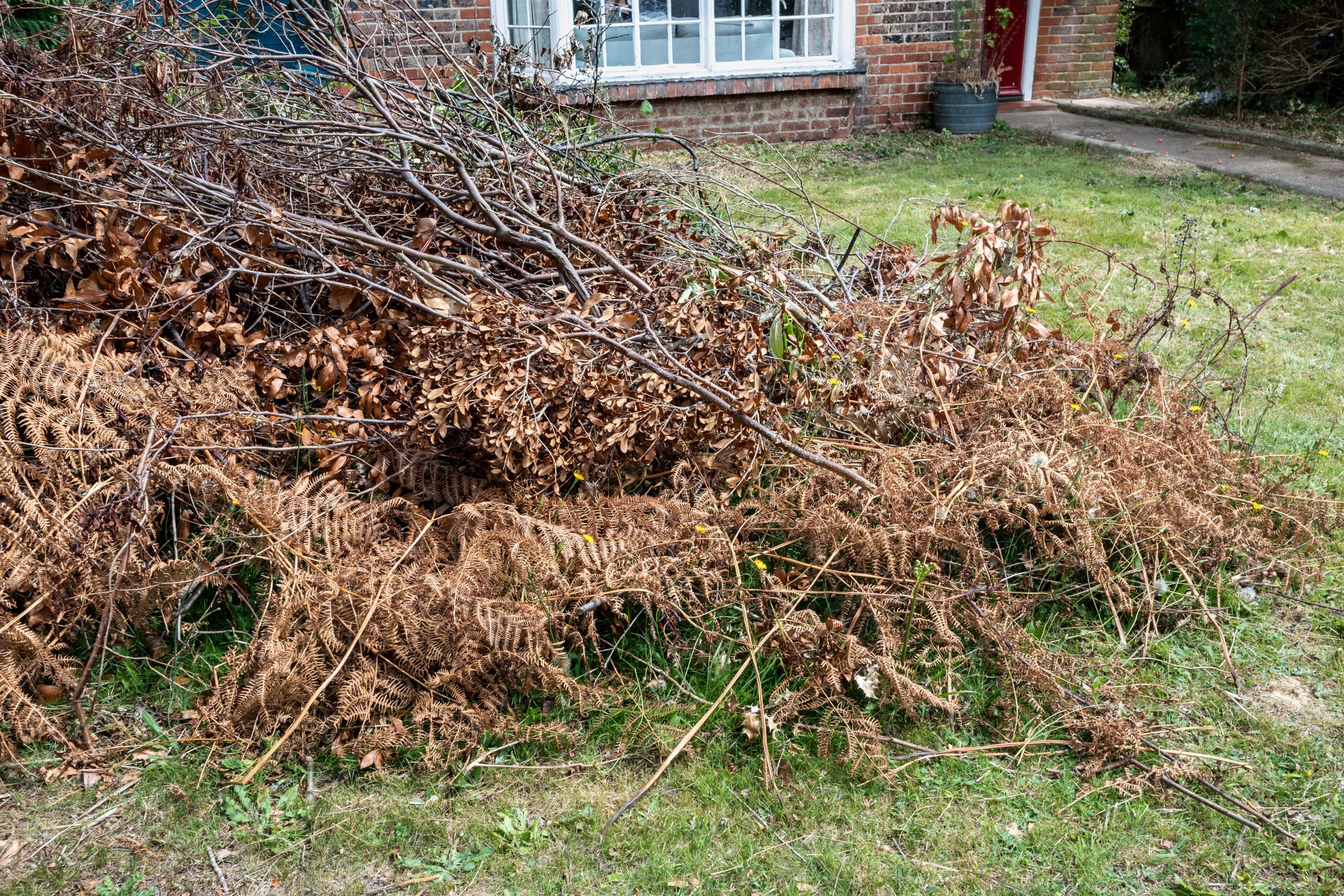 Garden Green Waste Removal Streatham SW16